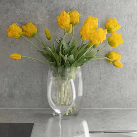 Beautiful In By Renters